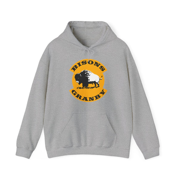Sweat à capuche Granby Bisons de la fin des années 1980