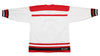 Grand Rapids Owls™ Modern White Jersey (BLANK) in white with red and black stripes, retro hockey style design