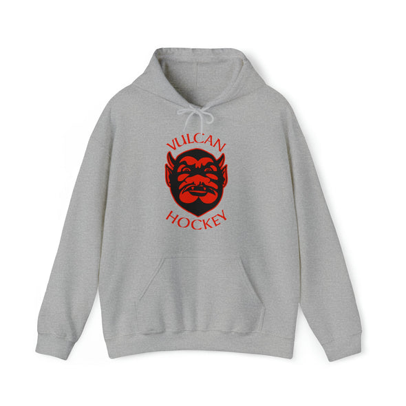 Sweat à capuche Saint Paul Vulcans