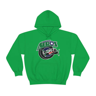 Sweat à capuche Houston Aeros des années 1990