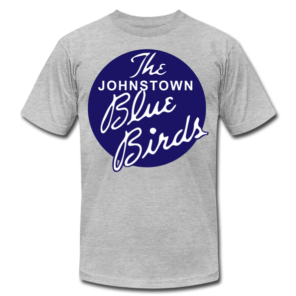 Johnstown Blue Birds T-Shirt (Premium) - heather gray